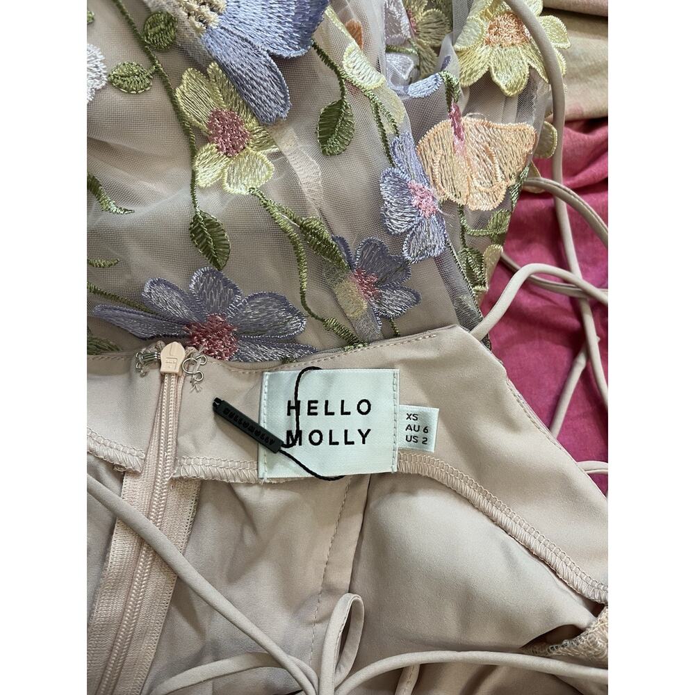 HELLO MOLLY One Of One 3D Floral Embroidered Mesh Midi Dress Sz 2 XS - Picture 6 of 7
